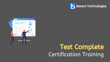 Test Complete Training in Chennai